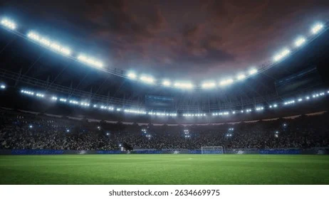 国际赛事足球场全景